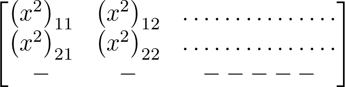 \[ \left[\begin{matrix}\left(x^2\right)_{11}&\left(x^2\right)_{12}&\ldots\ldots\ldots\ldots\ldots\\\left(x^2\right)_{21}&\left(x^2\right)_{22}&\ldots\ldots\ldots\ldots\ldots\\-&-&-----\\\end{matrix}\right] \]